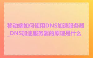 移动端如何使用DNS加速服务器_DNS加速服务器的原理是什么