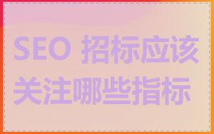 SEO 招标应该关注哪些指标
