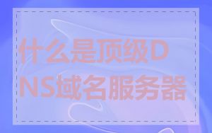 什么是顶级DNS域名服务器