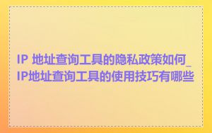 IP 地址查询工具的隐私政策如何_IP地址查询工具的使用技巧有哪些