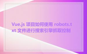 Vue.js 项目如何使用 robots.txt 文件进行搜索引擎抓取控制