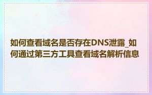 如何查看域名是否存在DNS泄露_如何通过第三方工具查看域名解析信息