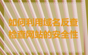 如何利用域名反查检查网站的安全性