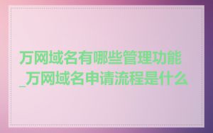 万网域名有哪些管理功能_万网域名申请流程是什么