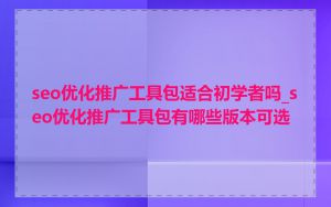 seo优化推广工具包适合初学者吗_seo优化推广工具包有哪些版本可选