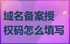 域名备案授权码怎么填写