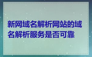 新网域名解析网站的域名解析服务是否可靠