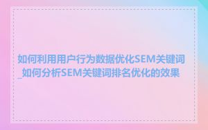 如何利用用户行为数据优化SEM关键词_如何分析SEM关键词排名优化的效果