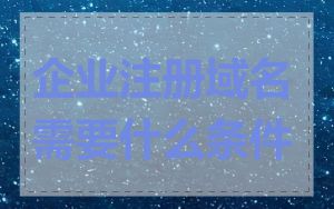 企业注册域名需要什么条件