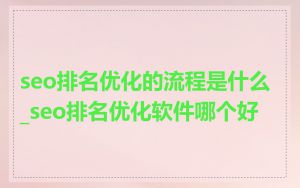 seo排名优化的流程是什么_seo排名优化软件哪个好