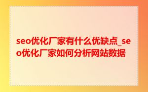 seo优化厂家有什么优缺点_seo优化厂家如何分析网站数据