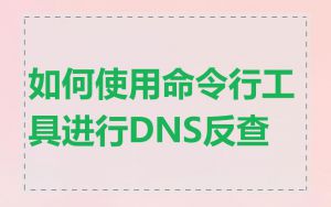 如何使用命令行工具进行DNS反查