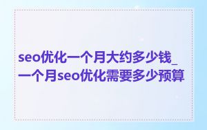seo优化一个月大约多少钱_一个月seo优化需要多少预算