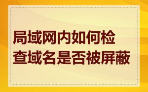 局域网内如何检查域名是否被屏蔽