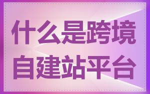 什么是跨境自建站平台