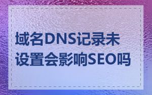 域名DNS记录未设置会影响SEO吗