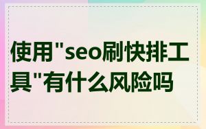 使用"seo刷快排工具"有什么风险吗