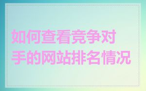 如何查看竞争对手的网站排名情况