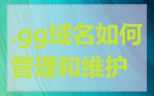 .gg域名如何管理和维护