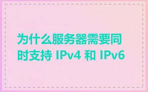 为什么服务器需要同时支持 IPv4 和 IPv6