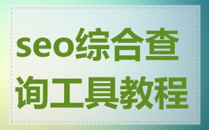 seo综合查询工具教程
