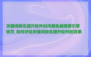 关键词排名提升软件如何避免被搜索引擎惩罚_如何评估关键词排名提升软件的效果