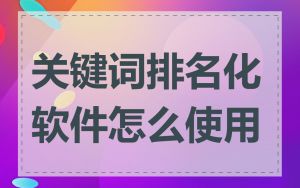 关键词排名化软件怎么使用