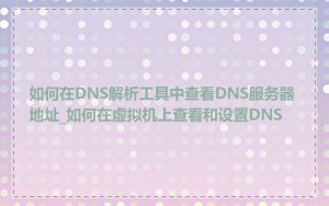 如何在DNS解析工具中查看DNS服务器地址_如何在虚拟机上查看和设置DNS