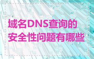 域名DNS查询的安全性问题有哪些
