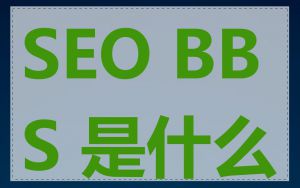 SEO BBS 是什么