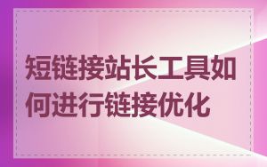 短链接站长工具如何进行链接优化