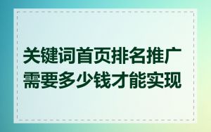 关键词首页排名推广需要多少钱才能实现