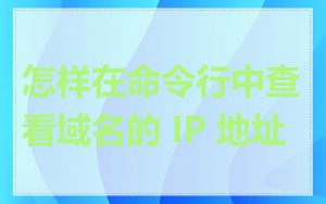 怎样在命令行中查看域名的 IP 地址