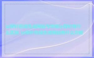 ip探针在线生成网站与传统ip探针有什么区别_ip探针在线生成网站有什么功能