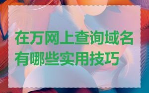 在万网上查询域名有哪些实用技巧