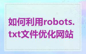 如何利用robots.txt文件优化网站
