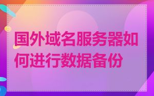 国外域名服务器如何进行数据备份