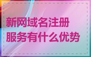 新网域名注册服务有什么优势