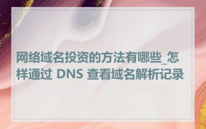 网络域名投资的方法有哪些_怎样通过 DNS 查看域名解析记录