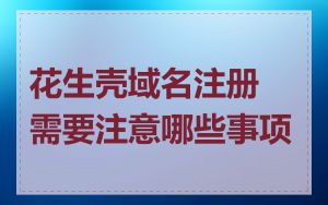 花生壳域名注册需要注意哪些事项