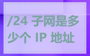 /24 子网是多少个 IP 地址
