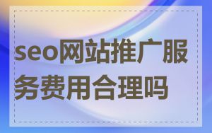 seo网站推广服务费用合理吗