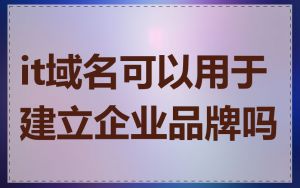 it域名可以用于建立企业品牌吗