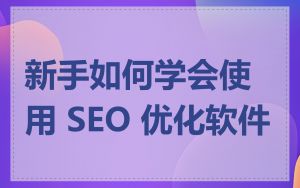 新手如何学会使用 SEO 优化软件