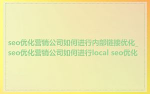 seo优化营销公司如何进行内部链接优化_seo优化营销公司如何进行local seo优化
