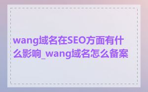 wang域名在SEO方面有什么影响_wang域名怎么备案