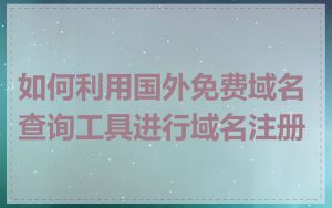 如何利用国外免费域名查询工具进行域名注册
