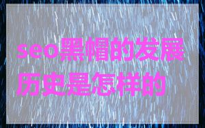 seo黑帽的发展历史是怎样的