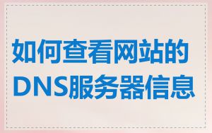如何查看网站的DNS服务器信息