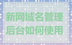 新网域名管理后台如何使用